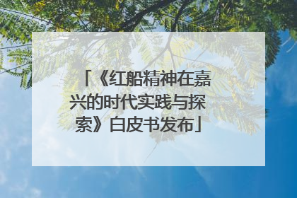 《红船精神在嘉兴的时代实践与探索》白皮书发布