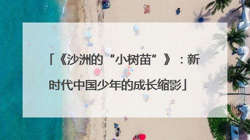 《沙洲的“小树苗”》：新时代中国少年的成长缩影