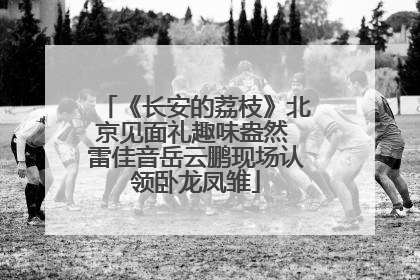 《长安的荔枝》北京见面礼趣味盎然 雷佳音岳云鹏现场认领卧龙凤雏