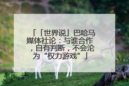 「世界说」巴哈马媒体社论：与谁合作，自有判断，不会沦为“权力游戏”