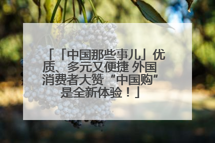 「中国那些事儿」优质、多元又便捷 外国消费者大赞“中国购”是全新体验！