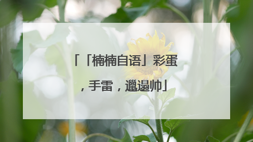 「楠楠自语」彩蛋，手雷，邋遢帅