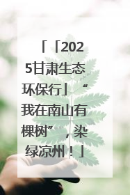 「2025甘肃生态环保行」“我在南山有棵树”，染绿凉州！
