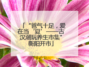 “爸气十足，爱在当‘夏’——古汉潮玩养生市集”衡阳开市