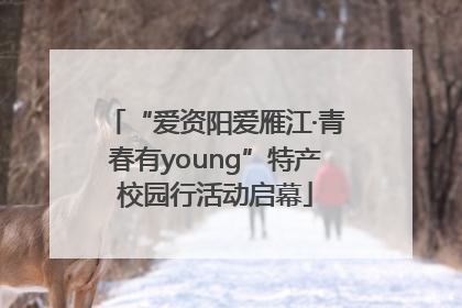 “爱资阳爱雁江·青春有young”特产校园行活动启幕