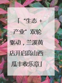 “生态 + 产业”双轮驱动，兰溪黄店开启高山西瓜丰收乐章