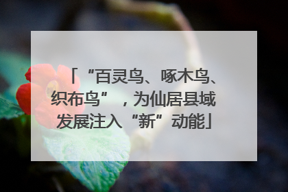 “百灵鸟、啄木鸟、织布鸟”，为仙居县域发展注入“新”动能
