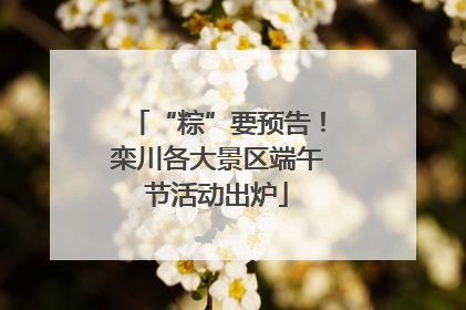 “粽”要预告！栾川各大景区端午节活动出炉