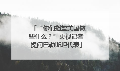 “你们指望美国做些什么？”央视记者提问巴勒斯坦代表