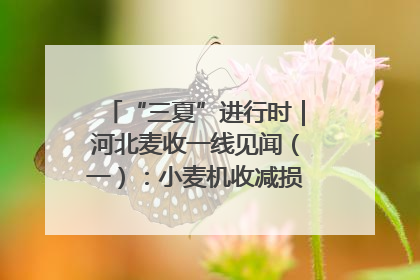 “三夏”进行时｜河北麦收一线见闻（一）：小麦机收减损“竞技” 农机高手麦田“过招”