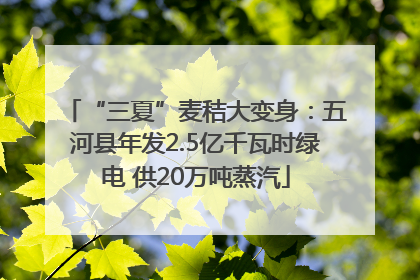 “三夏”麦秸大变身：五河县年发2.5亿千瓦时绿电 供20万吨蒸汽