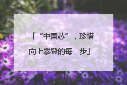 “中国芯”，珍惜向上攀登的每一步