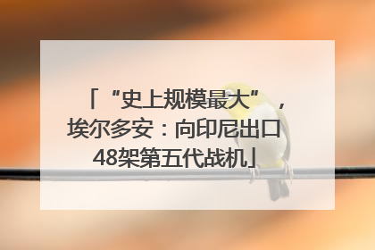 “史上规模最大”，埃尔多安：向印尼出口48架第五代战机