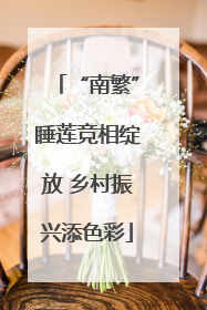 “南繁”睡莲竞相绽放 乡村振兴添色彩