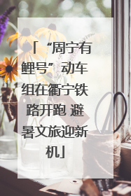 “周宁有鲤号”动车组在衢宁铁路开跑 避暑文旅迎新机