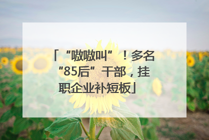 “嗷嗷叫”！多名“85后”干部，挂职企业补短板