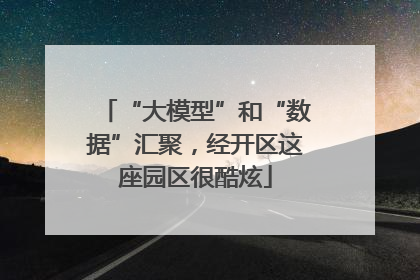 “大模型”和“数据”汇聚，经开区这座园区很酷炫