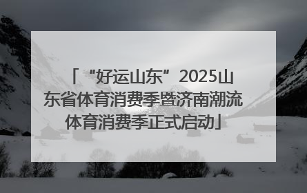 “好运山东”2025山东省体育消费季暨济南潮流体育消费季正式启动
