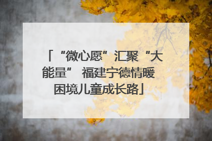 “微心愿”汇聚“大能量” 福建宁德情暖困境儿童成长路