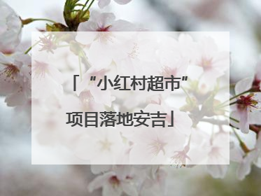 “小红村超市”项目落地安吉