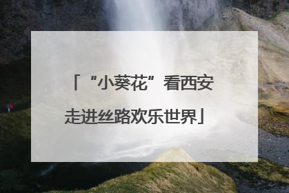“小葵花”看西安走进丝路欢乐世界