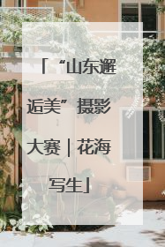 “山东邂逅美”摄影大赛｜花海写生