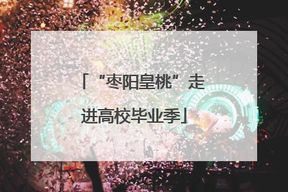 “枣阳皇桃”走进高校毕业季