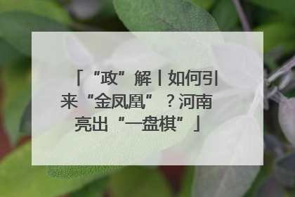 “政”解丨如何引来“金凤凰”？河南亮出“一盘棋”