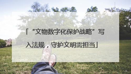 “文物数字化保护战略”写入法规，守护文明需担当