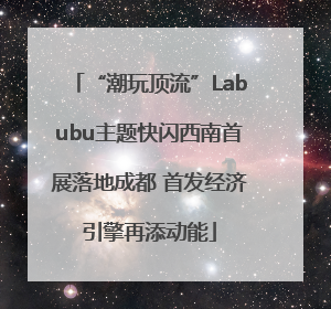 “潮玩顶流”Labubu主题快闪西南首展落地成都 首发经济引擎再添动能
