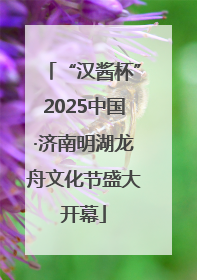 “汉酱杯”2025中国·济南明湖龙舟文化节盛大开幕