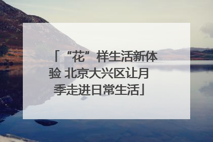 “花”样生活新体验 北京大兴区让月季走进日常生活