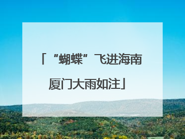 “蝴蝶”飞进海南 厦门大雨如注