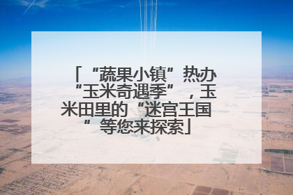 “蔬果小镇”热办“玉米奇遇季”，玉米田里的“迷宫王国”等您来探索