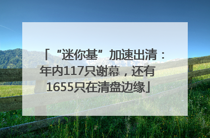 “迷你基”加速出清：年内117只谢幕，还有1655只在清盘边缘