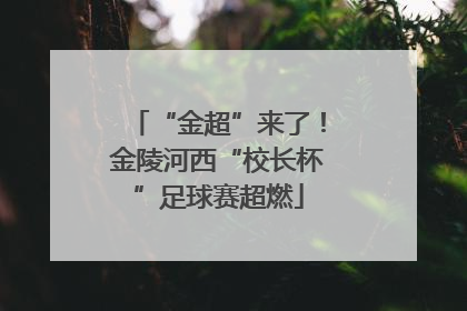 “金超”来了！金陵河西“校长杯”足球赛超燃