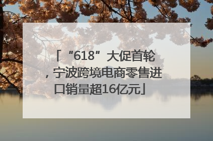 “618”大促首轮，宁波跨境电商零售进口销量超16亿元