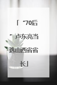 “70后”卢东亮当选山西省省长
