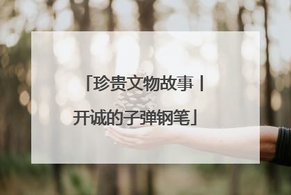 珍贵文物故事丨开诚的子弹钢笔