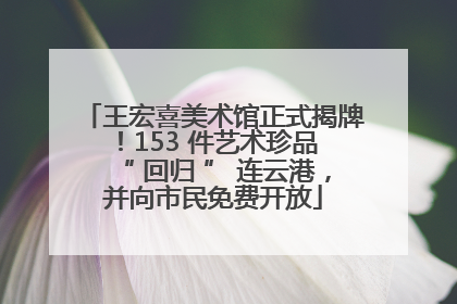 王宏喜美术馆正式揭牌！153 件艺术珍品 “ 回归 ” 连云港，并向市民免费开放
