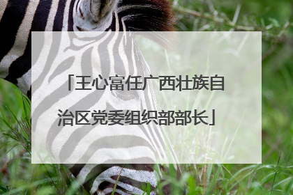 王心富任广西壮族自治区党委组织部部长