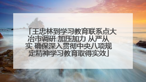 王忠林到学习教育联系点大冶市调研 加压加力 从严从实 确保深入贯彻中央八项规定精神学习教育取得实效