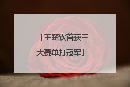 王楚钦首获三大赛单打冠军