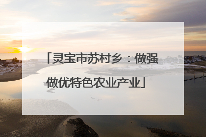 灵宝市苏村乡：做强做优特色农业产业