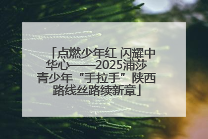 点燃少年红 闪耀中华心——2025浦莎青少年“手拉手”陕西路线丝路续新章