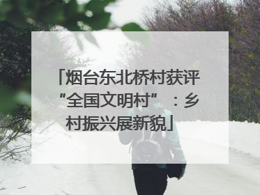 烟台东北桥村获评“全国文明村”：乡村振兴展新貌
