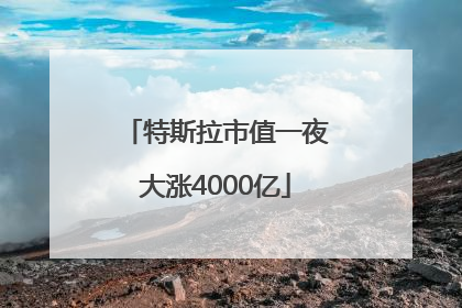 特斯拉市值一夜大涨4000亿
