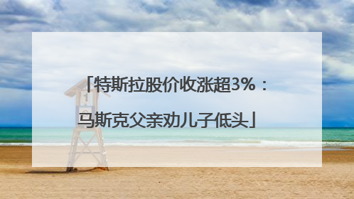 特斯拉股价收涨超3%：马斯克父亲劝儿子低头