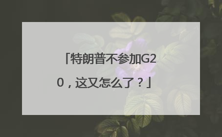 特朗普不参加G20，这又怎么了？