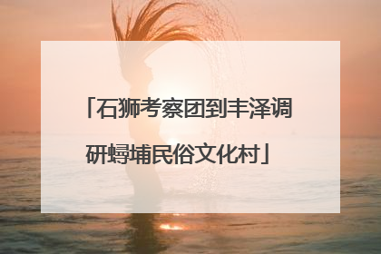 石狮考察团到丰泽调研蟳埔民俗文化村